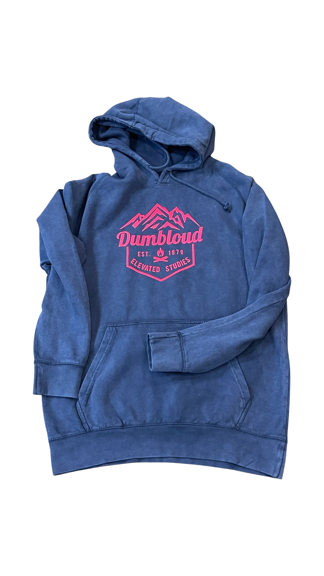 Vintage Blue Elevated Studies Hoodie