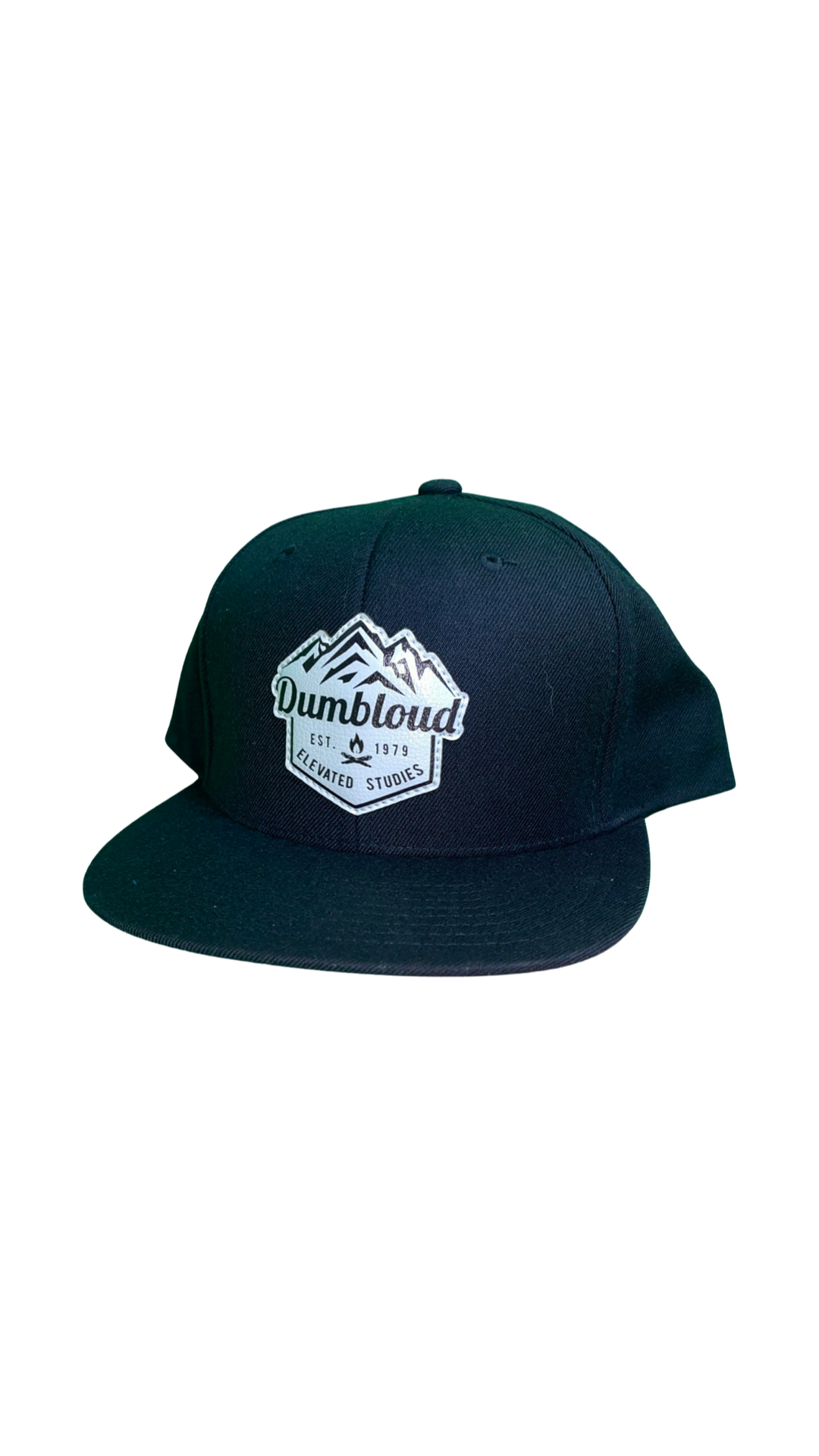 Elevated studies baseball cap.